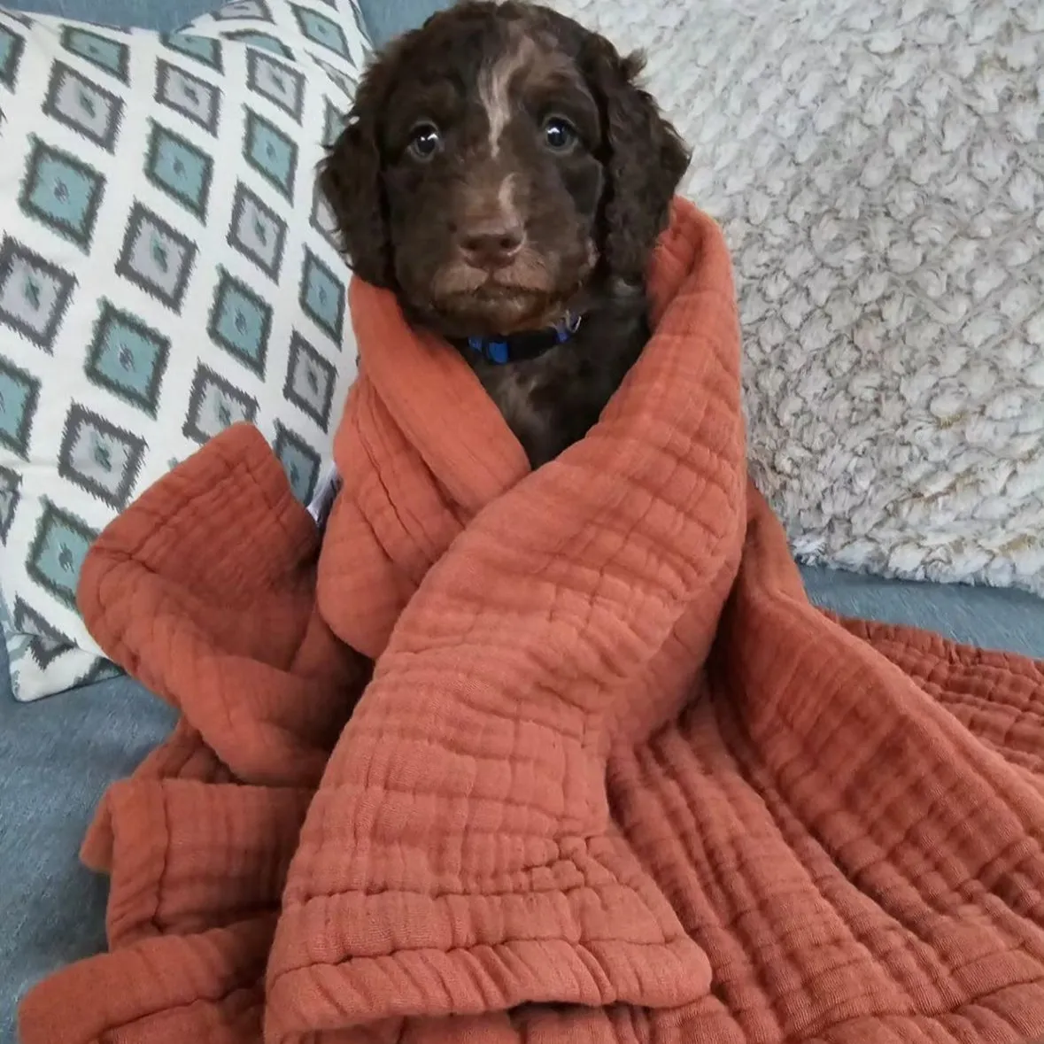 Essential Baby Mini Blanket