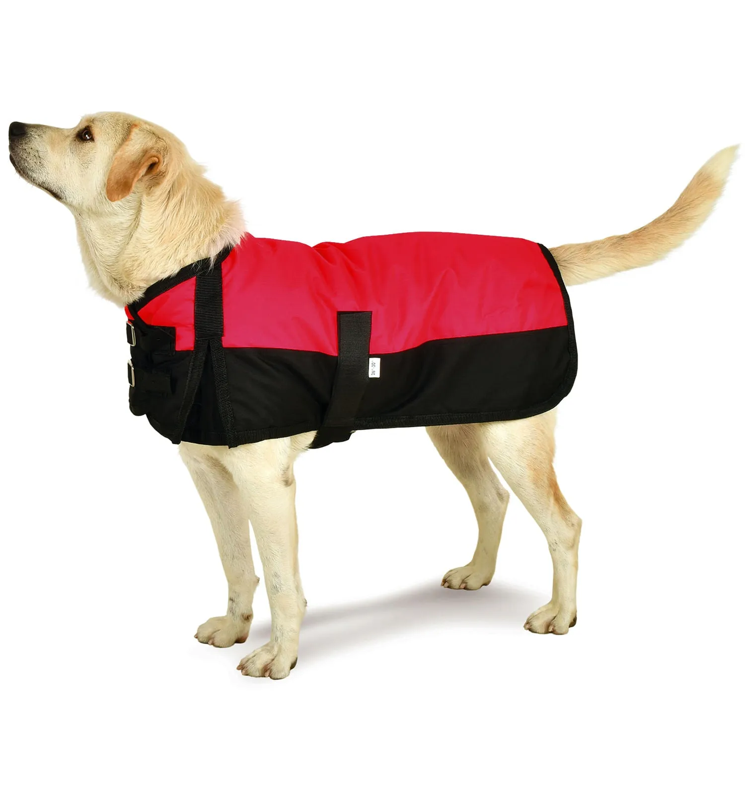 Premium Winter Dog Coat by Jeffers