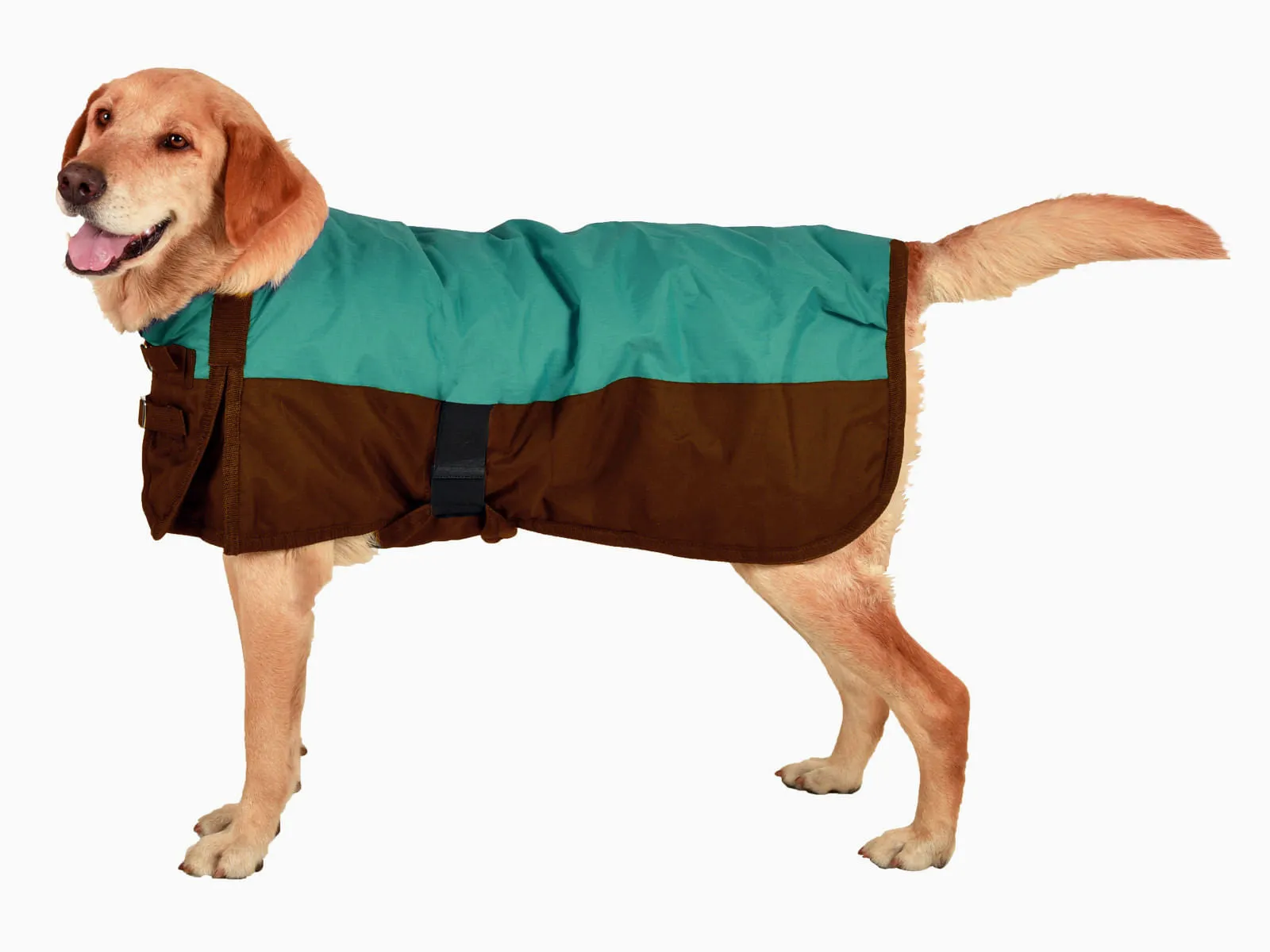 Premium Winter Dog Coat by Jeffers