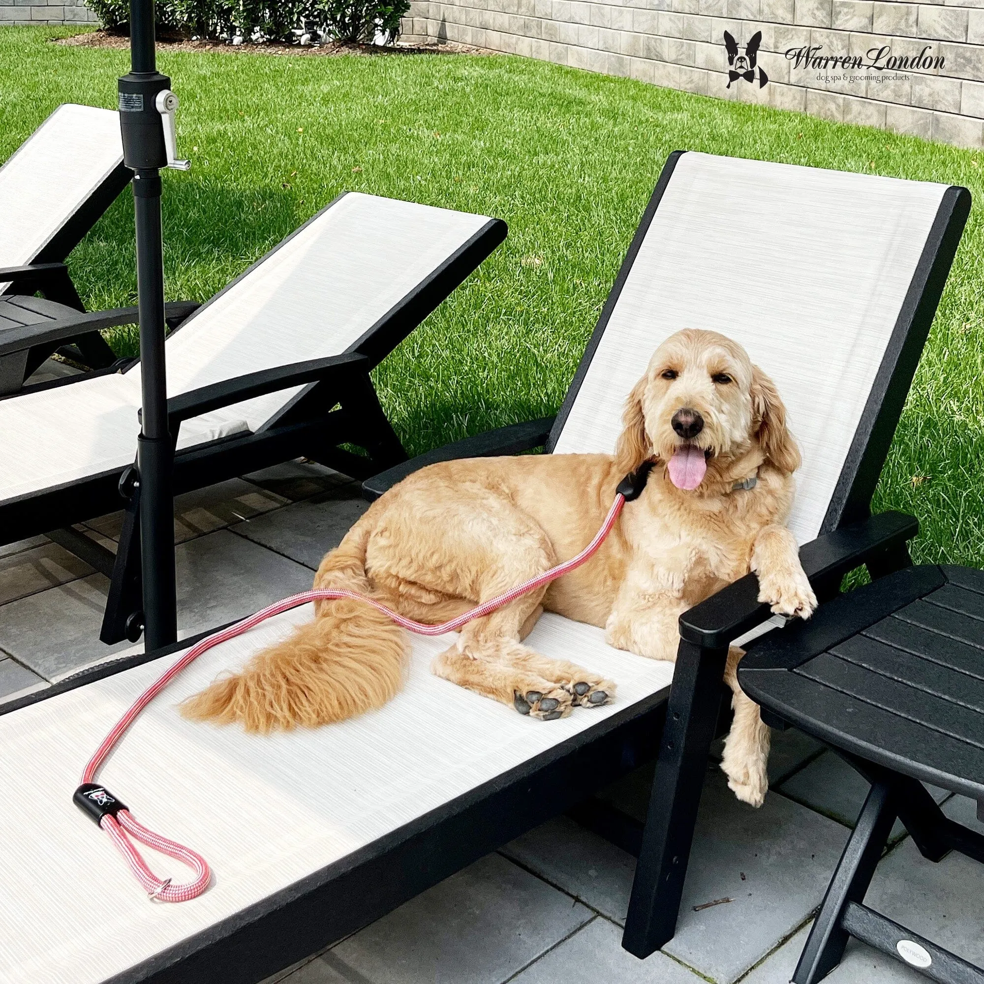 Rope Leash - Red/White