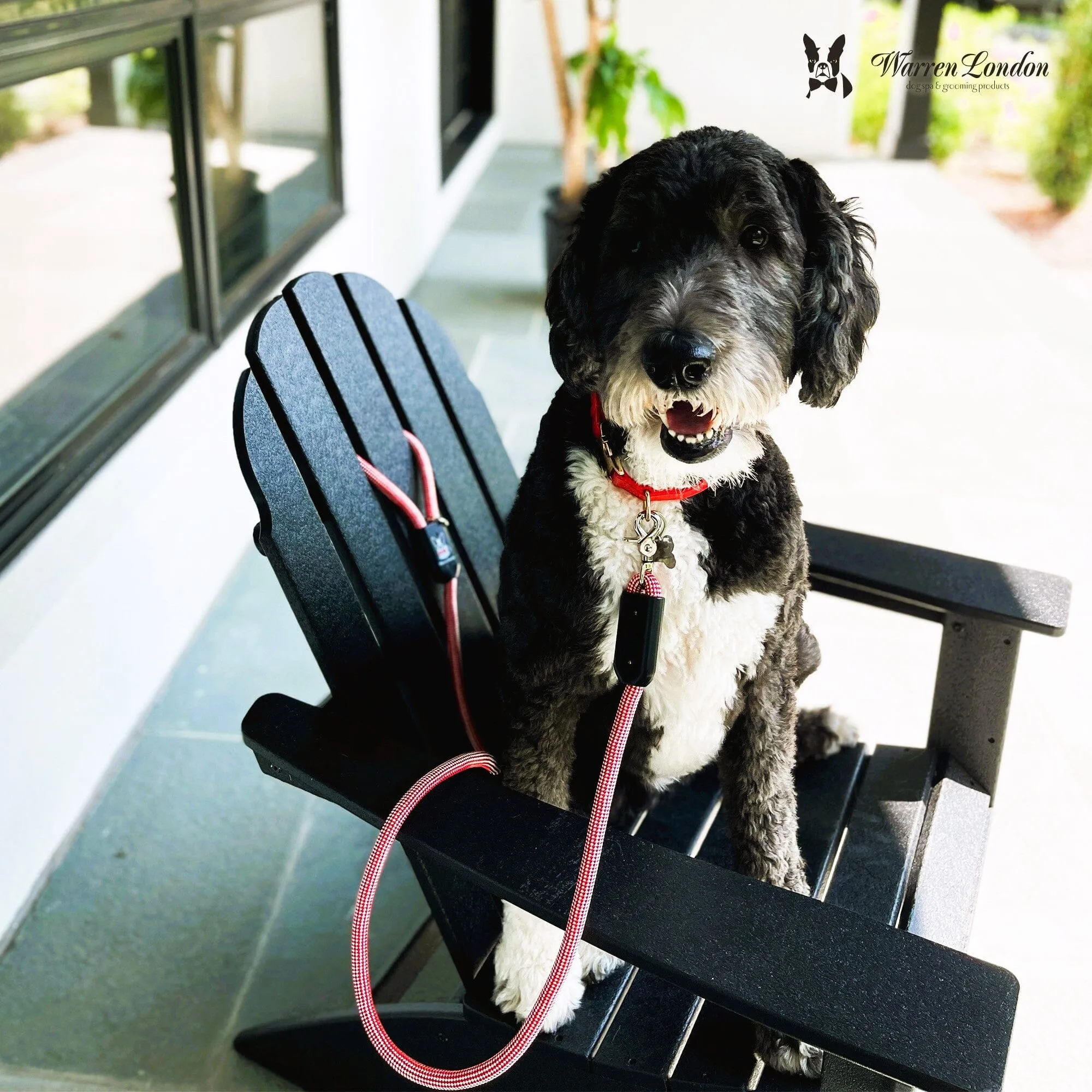 Rope Leash - Red/White